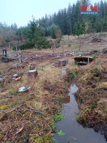 Prodej lesa, Vacovice, 37567 m2