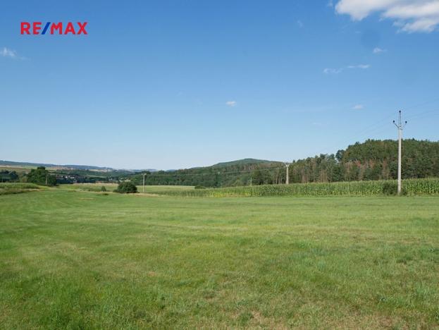 Prodej pozemku, Nový Knín, 19928 m2