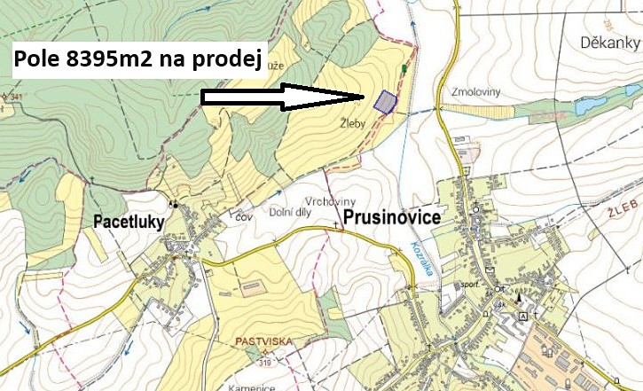 Prodej trvalého travního porostu, Prusinovice, 8395 m2