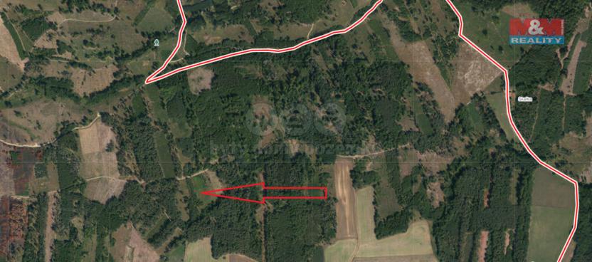 Prodej lesa, Jetětice, 5033 m2