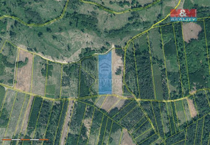 Prodej lesa, Jetětice, 31810 m2