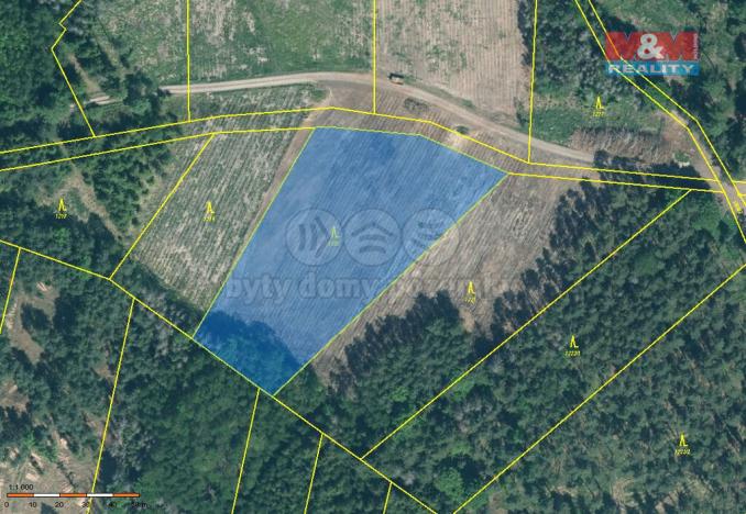 Prodej lesa, Jetětice, 15115 m2