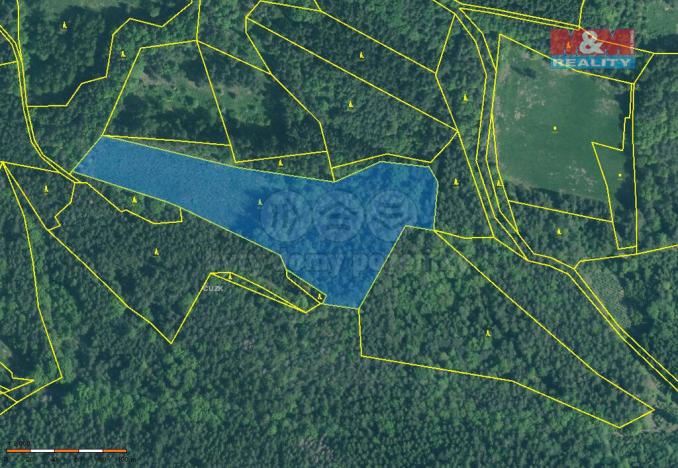 Prodej lesa, Putim, 18400 m2