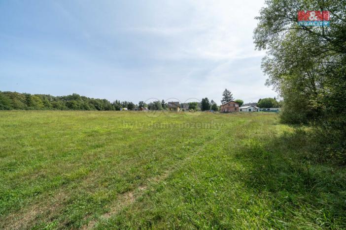 Prodej trvalého travního porostu, Mirošov, 2733 m2