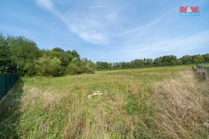 Prodej trvalého travního porostu, Mirošov, 2733 m2