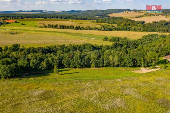 Prodej trvalého travního porostu, Albrechtice nad Vltavou - Hladná, 6183 m2