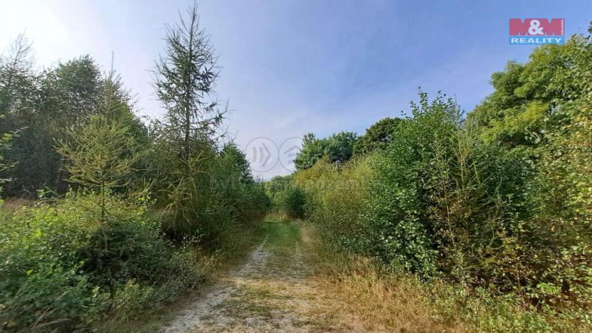 Prodej pozemku pro bydlení, Dolní Moravice, 628 m2