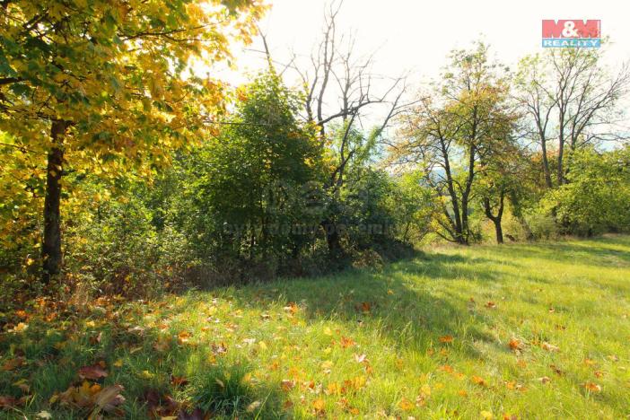 Prodej trvalého travního porostu, Žandov - Radeč, 3251 m2