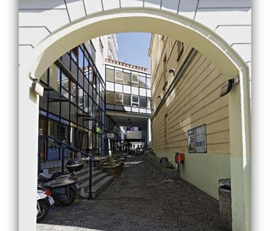 Pronájem obchodního prostoru, Praha - Vinohrady, Chrudimská, 257 m2