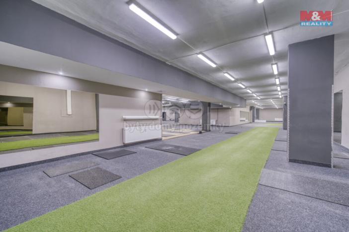 Pronájem skladu, Plzeň - Bolevec, Gerská, 845 m2