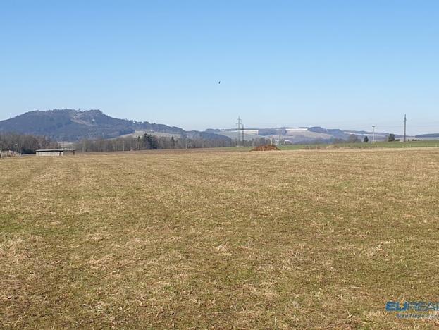 Prodej trvalého travního porostu, Police nad Metují, 17068 m2