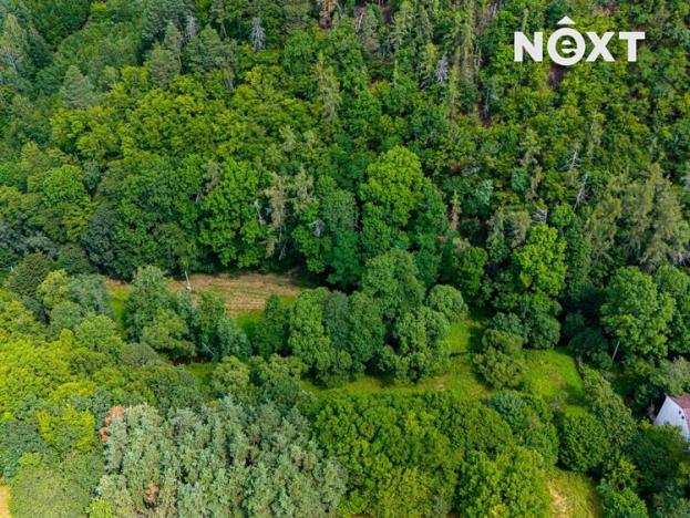 Prodej louky, Broumy, 4957 m2