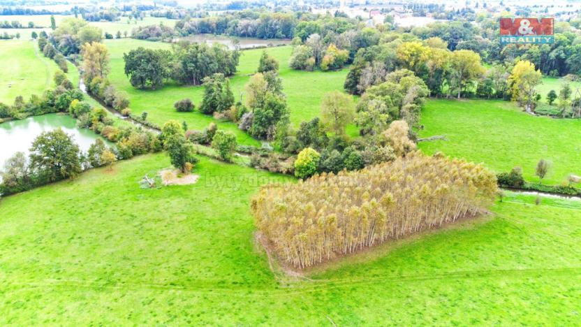 Prodej lesa, Skřivany, 1461 m2