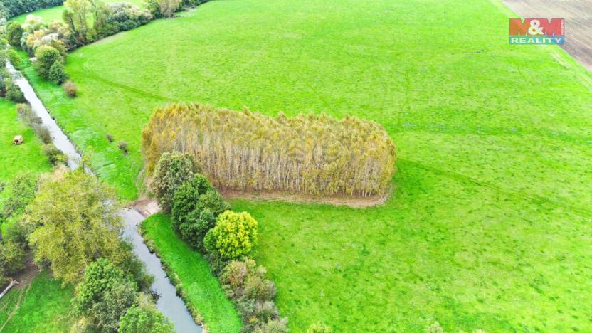 Prodej lesa, Skřivany, 1461 m2