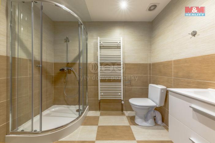 Prodej chalupy, Rokytnice nad Jizerou - Dolní Rokytnice, 500 m2