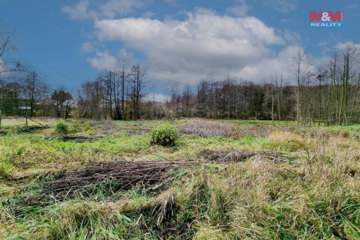 Prodej pozemku pro bydlení, Františkovy Lázně - Žírovice, 1000 m2