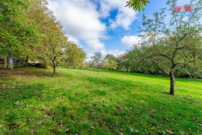 Prodej zemědělské usedlosti, Radonín, 200 m2