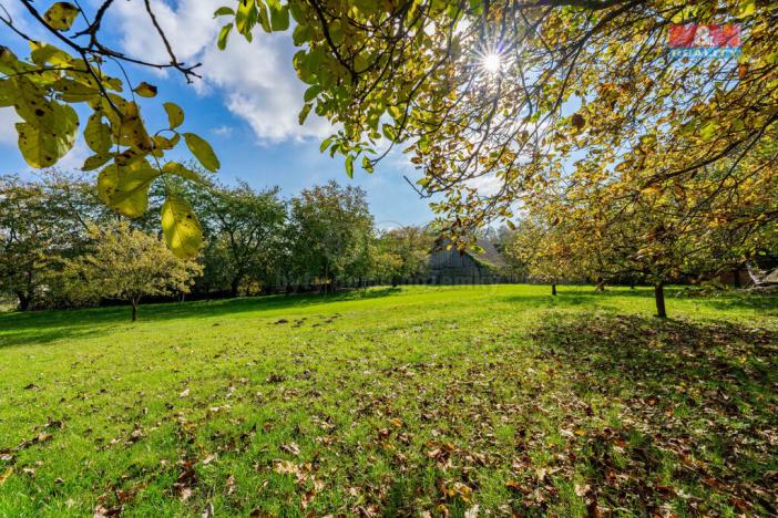 Prodej zemědělské usedlosti, Radonín, 200 m2