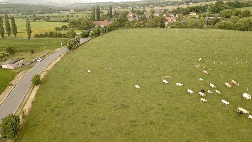 Prodej pozemku pro bydlení, Skuhrov, 865 m2