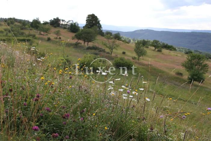 Prodej louky, Kadaň, 419118 m2