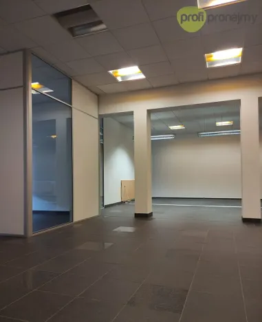 Pronájem kanceláře, Pelhřimov, Nádražní, 171 m2