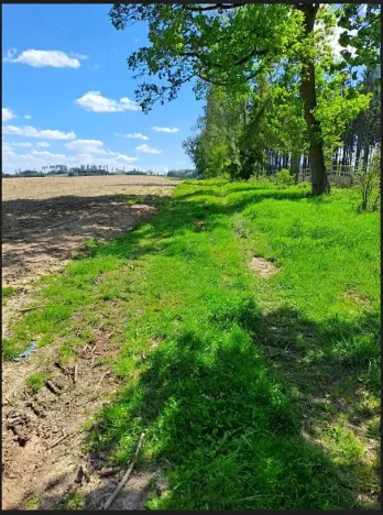 Prodej podílu pozemku, Pacov, 1301 m2