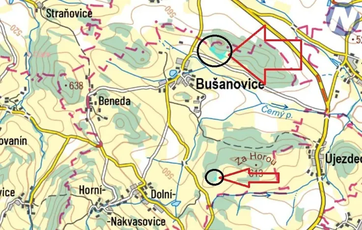 Prodej podílu lesa, Bušanovice, 17 m2