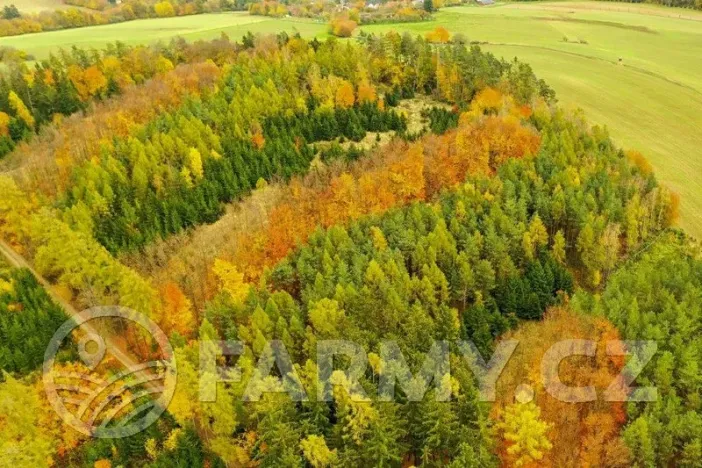 Prodej lesa, Krásná Hora nad Vltavou, 1087255 m2