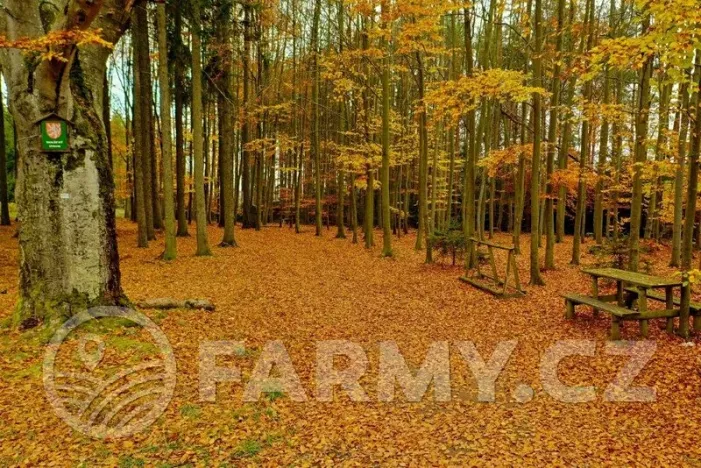Prodej lesa, Krásná Hora nad Vltavou, 1087255 m2