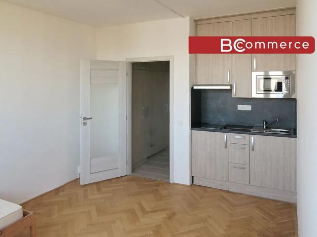 Pronájem bytu 1+kk, Brno, Halasovo náměstí, 24 m2