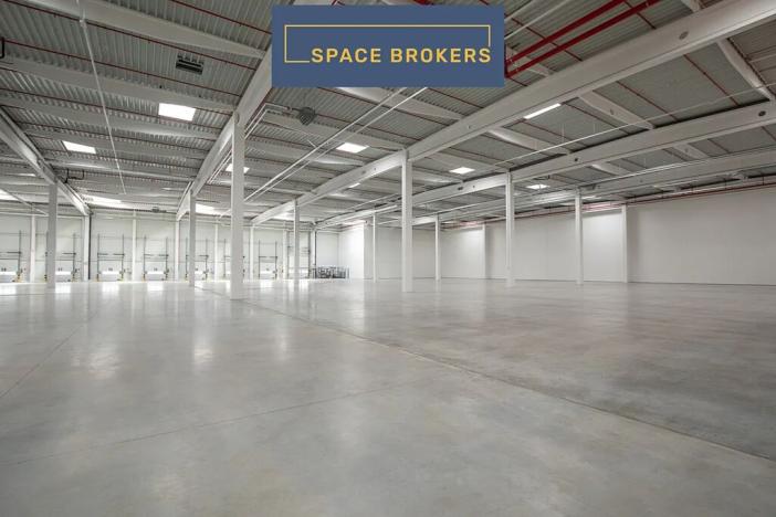 Pronájem skladu, Ostrava, 5195 m2