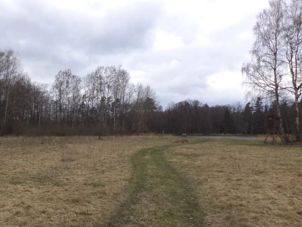 Dražba louky, Chlum u Třeboně, 6727 m2