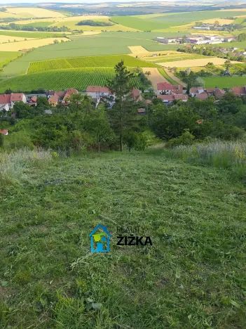 Prodej zahrady, Viničné Šumice, 942 m2