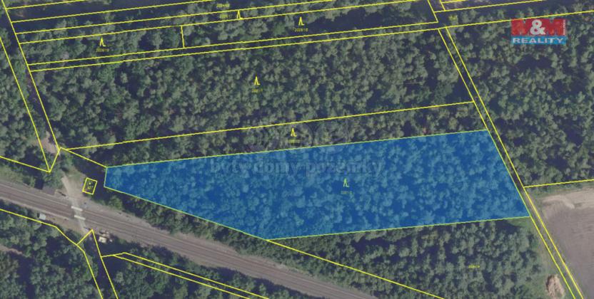 Prodej lesa, Lysá nad Labem, 6436 m2