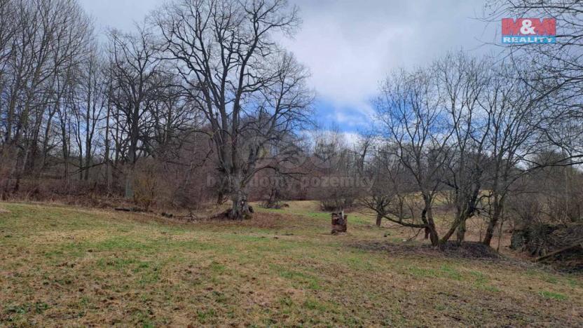 Prodej pozemku pro bydlení, Vikantice, 1968 m2