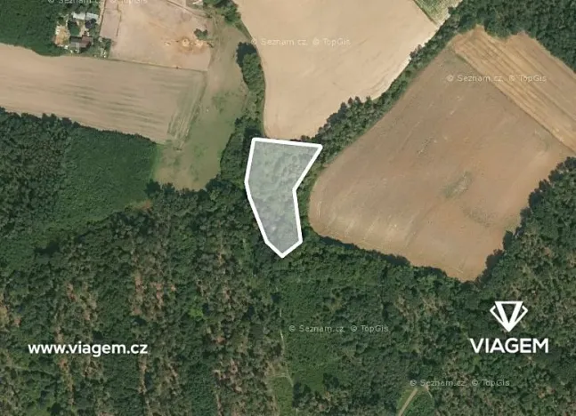 Prodej podílu lesa, Vrbice, 1226 m2