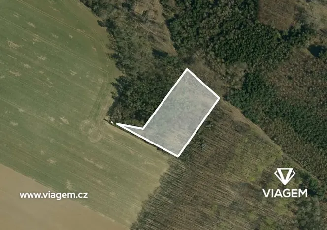 Prodej podílu lesa, Mělnické Vtelno, 980 m2