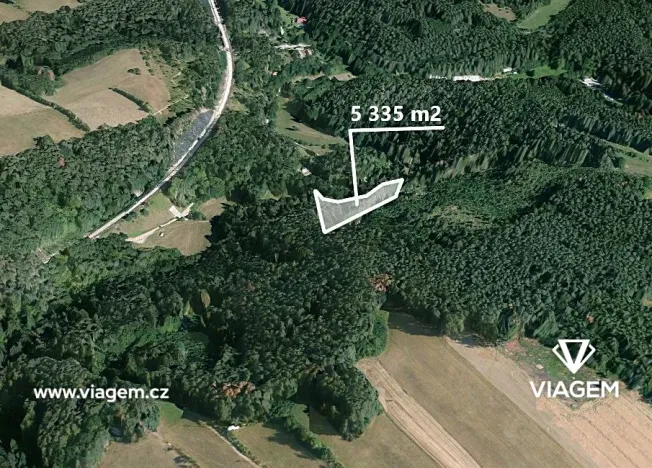 Prodej podílu lesa, Kuřimská Nová Ves, 1778 m2