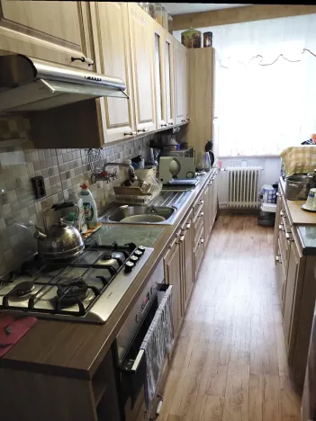 Prodej rodinného domu, Hnojník, 499 m2