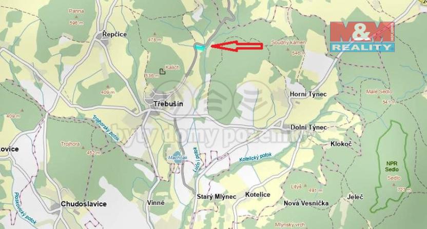 Prodej louky, Třebušín, 8010 m2