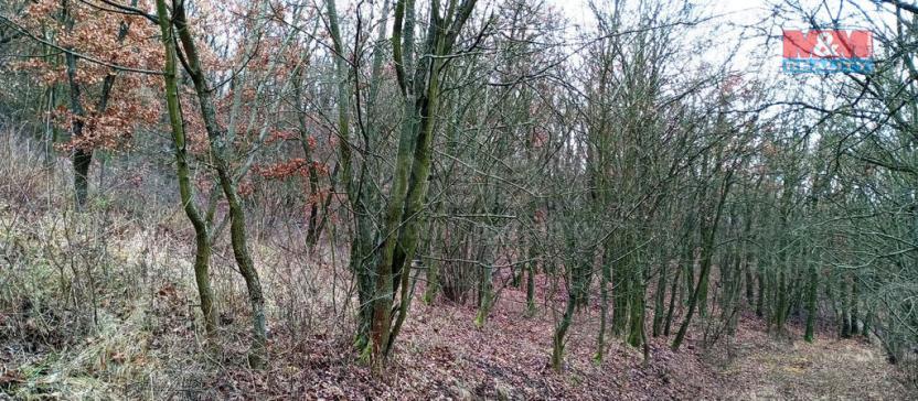 Prodej zahrady, Velemín - Oparno, 3561 m2