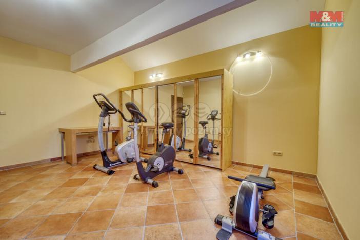 Prodej rodinného domu, Františkovy Lázně, Větrná hůrka, 392 m2