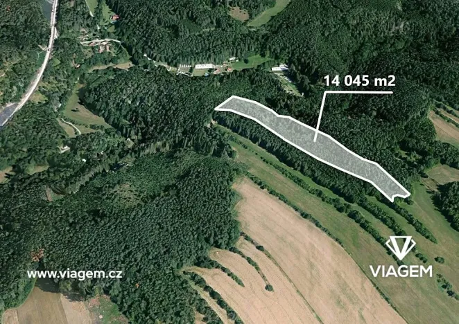 Prodej podílu lesa, Kuřimská Nová Ves, 3121 m2