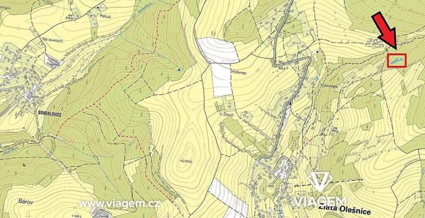 Prodej podílu lesa, Zlatá Olešnice, 569 m2