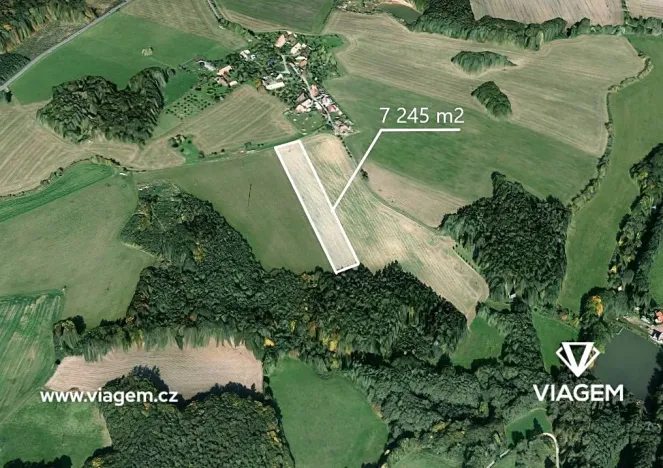 Prodej podílu pole, Heřmanův Městec, 1132 m2