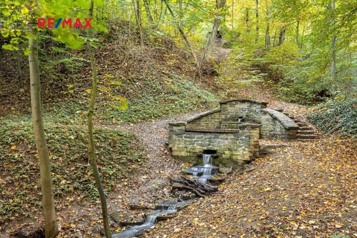 Prodej lesa, Praha - Malá Chuchle, 17570 m2