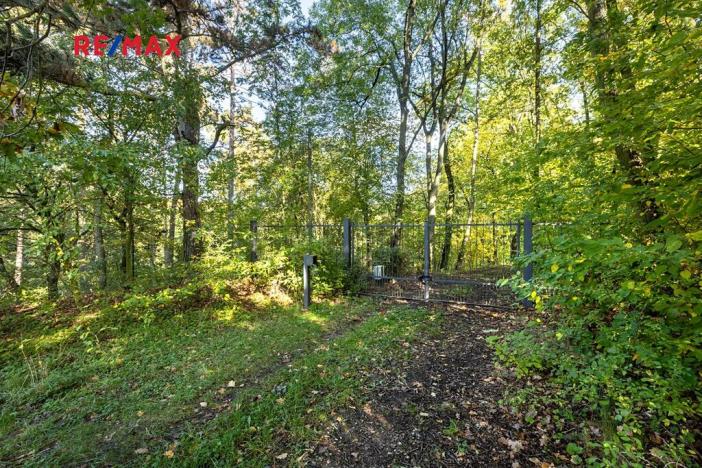 Prodej lesa, Praha - Malá Chuchle, 17570 m2