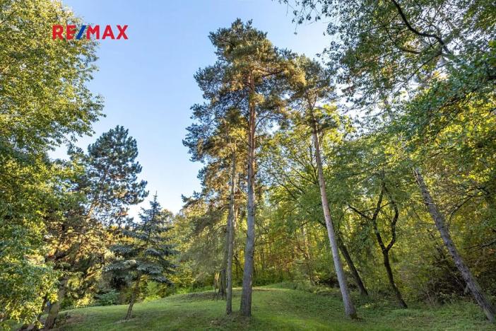 Prodej lesa, Praha - Malá Chuchle, 17570 m2