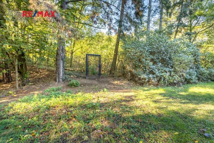 Prodej lesa, Praha - Malá Chuchle, 17570 m2