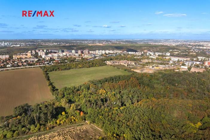 Prodej lesa, Praha - Malá Chuchle, 17570 m2